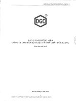 Báo cáo thường niên năm 2015 - Công ty Cổ phần Bột giặt và Hoá chất Đức Giang