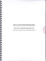 Báo cáo tài chính quý 2 năm 2013 (đã soát xét) - Công ty Cổ phần Đầu tư và Phát triển KSH