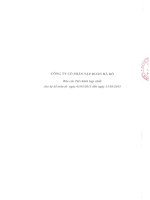 Báo cáo tài chính hợp nhất quý 1 năm 2015 - Công ty Cổ phần Tập đoàn Hà Đô