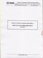 Báo cáo tài chính hợp nhất quý 1 năm 2011 - Công ty Cổ phần Tập đoàn Nhựa Đông Á