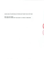 Báo cáo tài chính năm 2009 (đã kiểm toán) - Ngân hàng Thương mại Cổ phần Xuất nhập khẩu Việt Nam