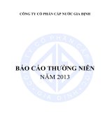 Báo cáo thường niên năm 2013 - Công ty Cổ phần Cấp nước Gia Định