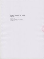 Báo cáo tài chính công ty mẹ năm 2012 (đã kiểm toán) - Công ty Cổ phần Tập đoàn Hapaco