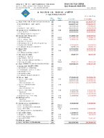 Báo cáo tài chính quý 2 năm 2012 - Công ty cổ phần Cơ khí và Khoáng sản Hà Giang