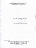 Báo cáo tài chính hợp nhất năm 2015 (đã kiểm toán) - Công ty Cổ phần Nông dược H.A.I