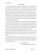 Tổ chức hệ thống kiểm soát nội bộ và hệ thống BCTC của công ty TNHH sơn cường 