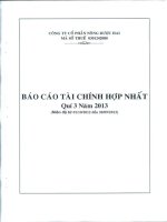 Báo cáo tài chính hợp nhất quý 3 năm 2013 - Công ty Cổ phần Nông dược H.A.I