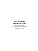 Báo cáo tài chính 9 tháng đầu năm 2009 - Công ty cổ phần Đầu tư DNA