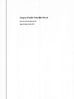 Báo cáo tài chính quý 2 năm 2015 (đã soát xét) - Công ty Cổ phần Thủy điện Gia Lai