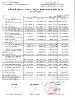 Báo cáo tài chính hợp nhất quý 1 năm 2013 (đã kiểm toán) - Ngân hàng Thương mại cổ phần Đông Á