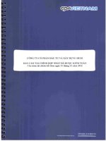 Báo cáo tài chính hợp nhất năm 2012 (đã kiểm toán) - Công ty Cổ phần Đầu tư và Xây dựng HUD1