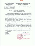 Báo cáo tài chính hợp nhất quý 4 năm 2015 - Công ty Cổ phần Tập đoàn Dabaco Việt Nam