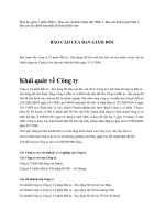 Báo cáo tài chính năm 2009 (đã kiểm toán) - Công ty Cổ phần Đầu tư - Xây dựng Hà Nội