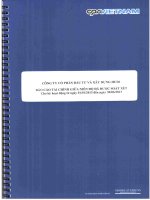 Báo cáo tài chính công ty mẹ quý 2 năm 2013 (đã soát xét) - Công ty Cổ phần Đầu tư và Xây dựng HUD1