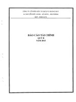 Báo cáo tài chính quý 2 năm 2013 - Công ty Cổ phần Đầu tư Dịch vụ Hoàng Huy