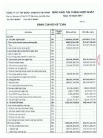Báo cáo tài chính hợp nhất quý 3 năm 2011 - Công ty Cổ phần Tập đoàn Dabaco Việt Nam