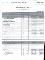 Báo cáo tài chính công ty mẹ quý 2 năm 2013 - Công ty Cổ phần Hữu Liên Á Châu