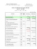 Báo cáo tài chính quý 3 năm 2008 - Công ty Cổ phần DIC số 4