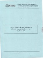 Báo cáo tài chính công ty mẹ quý 3 năm 2015 - Công ty Cổ phần Tập đoàn Nhựa Đông Á