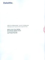 Báo cáo tài chính năm 2014 (đã kiểm toán) - Công ty Cổ phần Dược - Vật tư Y tế Đăk Lăk
