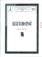 Báo cáo tài chính hợp nhất quý 3 năm 2012 - Công ty Cổ phần Ngoại thương và Phát triển Đầu tư Thành phố Hồ Chí Minh