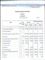 Báo cáo KQKD quý 2 năm 2010 - Công ty Cổ phần HACISCO