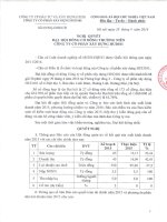 Nghị quyết Đại hội cổ đông thường niên - CTCP Xây dựng HUD101