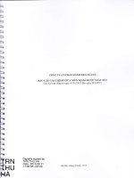 Báo cáo tài chính quý 2 năm 2015 (đã soát xét) - Công ty Cổ phần Bánh kẹo Hải Hà