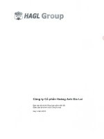 Báo cáo tài chính công ty mẹ quý 1 năm 2016 - Công ty Cổ phần Hoàng Anh Gia Lai