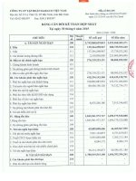 Báo cáo tài chính hợp nhất quý 2 năm 2015 - Công ty Cổ phần Tập đoàn Dabaco Việt Nam