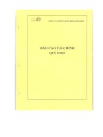 Báo cáo tài chính quý 2 năm 2013 - Công ty Cổ phần Chứng khoán Hòa Bình