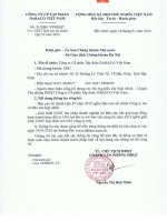 Báo cáo tài chính công ty mẹ quý 4 năm 2015 - Công ty Cổ phần Tập đoàn Dabaco Việt Nam