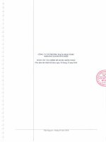Báo cáo tài chính năm 2015 (đã kiểm toán) - Công ty cổ phần Thương mại và Khai thác Khoáng sản Dương Hiếu