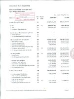 Báo cáo tài chính hợp nhất quý 3 năm 2010 - Công ty Cổ phần Full Power