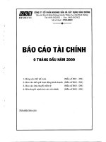 Báo cáo tài chính 9 tháng đầu năm 2009 - Công ty Cổ phần Khoáng sản và Xây dựng Bình Dương