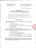 Nghị quyết Đại hội cổ đông bất thường ngày 10-5-2011 - Công ty Cổ phần Công nghiệp Khoáng sản Bình Thuận