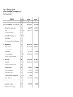 Báo cáo tài chính hợp nhất quý 4 năm 2008 - Công ty Cổ phần Full Power