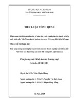 Giải pháp nâng cao năng lực cạnh tranh của các doanh nghiệp xuất khẩu giầy Việt Nam vào thị trường các nước EU trong điều kiện hiện nay