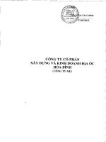 Báo cáo tài chính công ty mẹ quý 1 năm 2012 - Công ty cổ phần Xây dựng và Kinh doanh Địa ốc Hoà Bình
