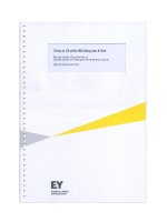 Báo cáo tài chính công ty mẹ quý 2 năm 2013 (đã soát xét) - Công ty cổ phần Bất động sản E Xim