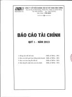 Báo cáo tài chính quý 1 năm 2013 - Công ty Cổ phần Khoáng sản và Xây dựng Bình Dương