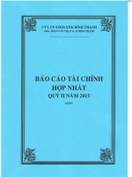 Báo cáo tài chính hợp nhất quý 2 năm 2015 - Công ty Cổ phần Sản xuất Kinh doanh Xuất nhập khẩu Bình Thạnh