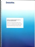 Báo cáo tài chính năm 2013 (đã kiểm toán) - Công ty Cổ phần Khoáng sản và Xây dựng Bình Dương