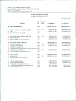 Báo cáo tài chính quý 1 năm 2013 - Công ty Cổ phần Xi Măng Hà Tiên 1