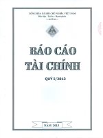 Báo cáo tài chính quý 1 năm 2013 - Công ty Cổ phần Đầu tư Xây dựng Hồng Phát