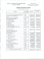 Báo cáo tài chính quý 1 năm 2010 - Công ty Cổ phần Khoáng sản và Xây dựng Bình Dương