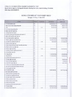 Báo cáo tài chính hợp nhất quý 4 năm 2015 - Công ty cổ phần Nông nghiệp xanh Hưng Việt