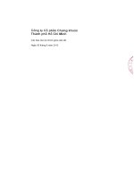 Báo cáo tài chính quý 2 năm 2013 (đã soát xét) - Công ty Cổ phần Chứng khoán Thành phố Hồ Chí Minh