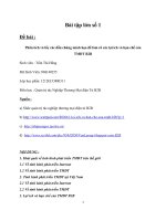 Phân tích và lấy các dẫn chứng minh họa để làm rõ các lợi ích và hạn chế của Thương mại điện tử b2b