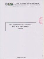 Báo cáo tài chính hợp nhất quý 2 năm 2011 - Công ty Cổ phần Tập đoàn Nhựa Đông Á